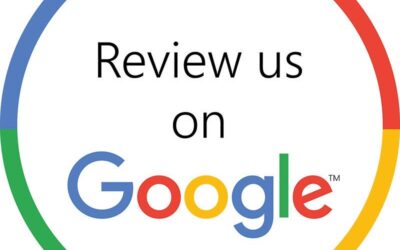 Are Google Business Profile Reviews Showing? Feb 2025 Update